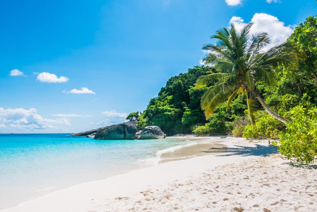 Tropical beach scene with clear turquoise water, white sand, and lush greenery. A palm tree leans over the beach under a bright blue sky. 